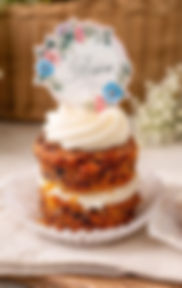 Micro Carrot & Lemon Blueberry Cakes