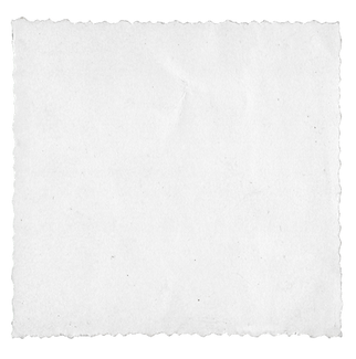 Vintage Photo Border