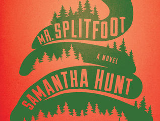 MR. SPLITFOOT by Samantha Hunt
