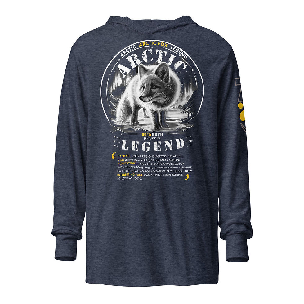 Miniature : 69 degree North -Arctic Fox