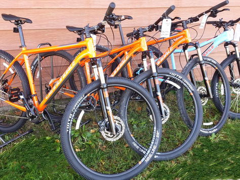 Enjoy the Sunshine - Rent a Bike!