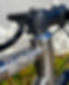 sbbblacksheep.png