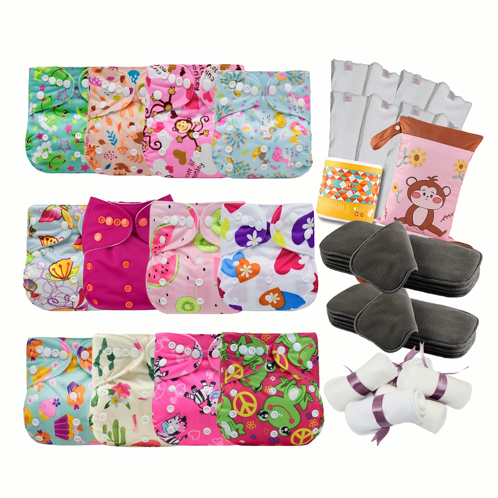 Kit 12 fraldas ecológicas + 20 absorventes + acessórios