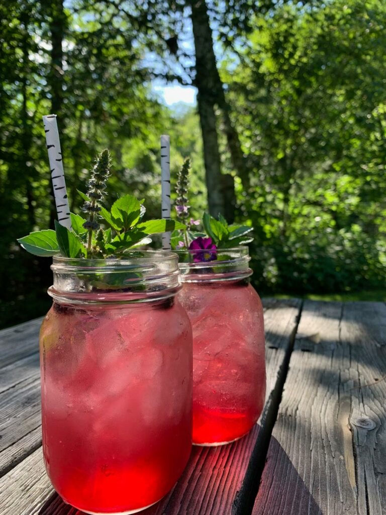Herb Walk & Elixers