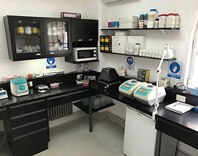 lab6.JPG