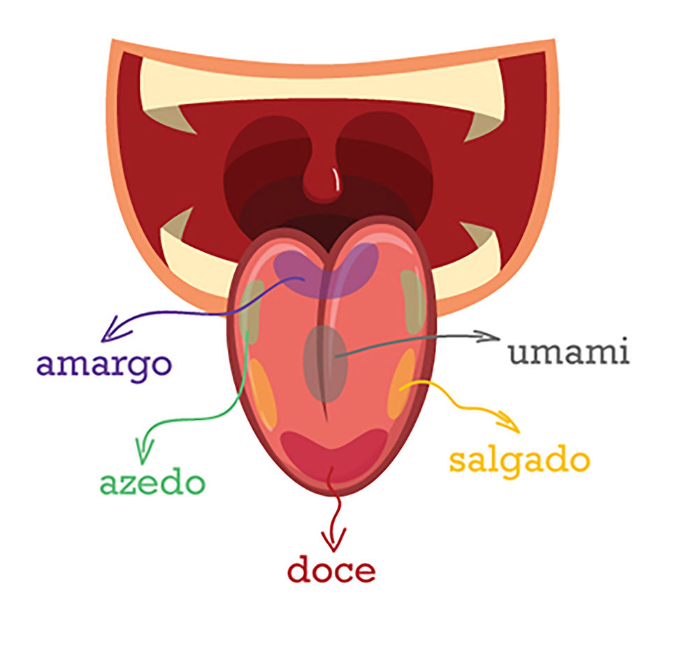 Lingua com 5 estruturas gustativas