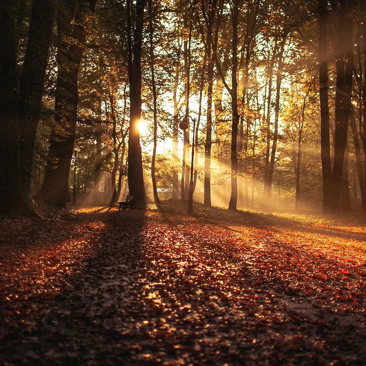 Wheel of the Year: Autumn Equinox