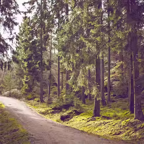 Introduction to Pagan Paths – Class