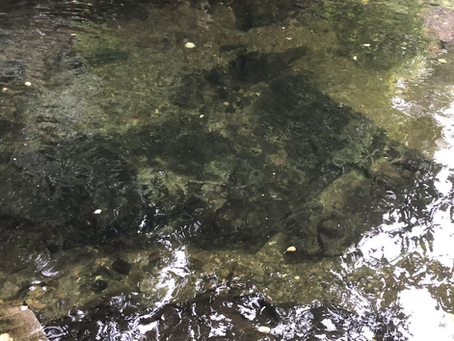 Bodies of water