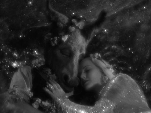Midsummer Night's Dream