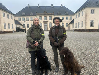 Nordisk flatmesterskap