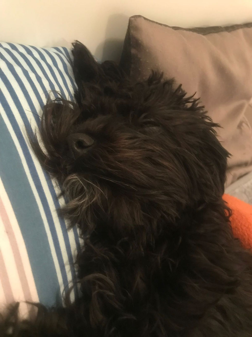 IMG-20180118-WA0002[1]