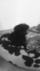 IMG-20171227-WA0017