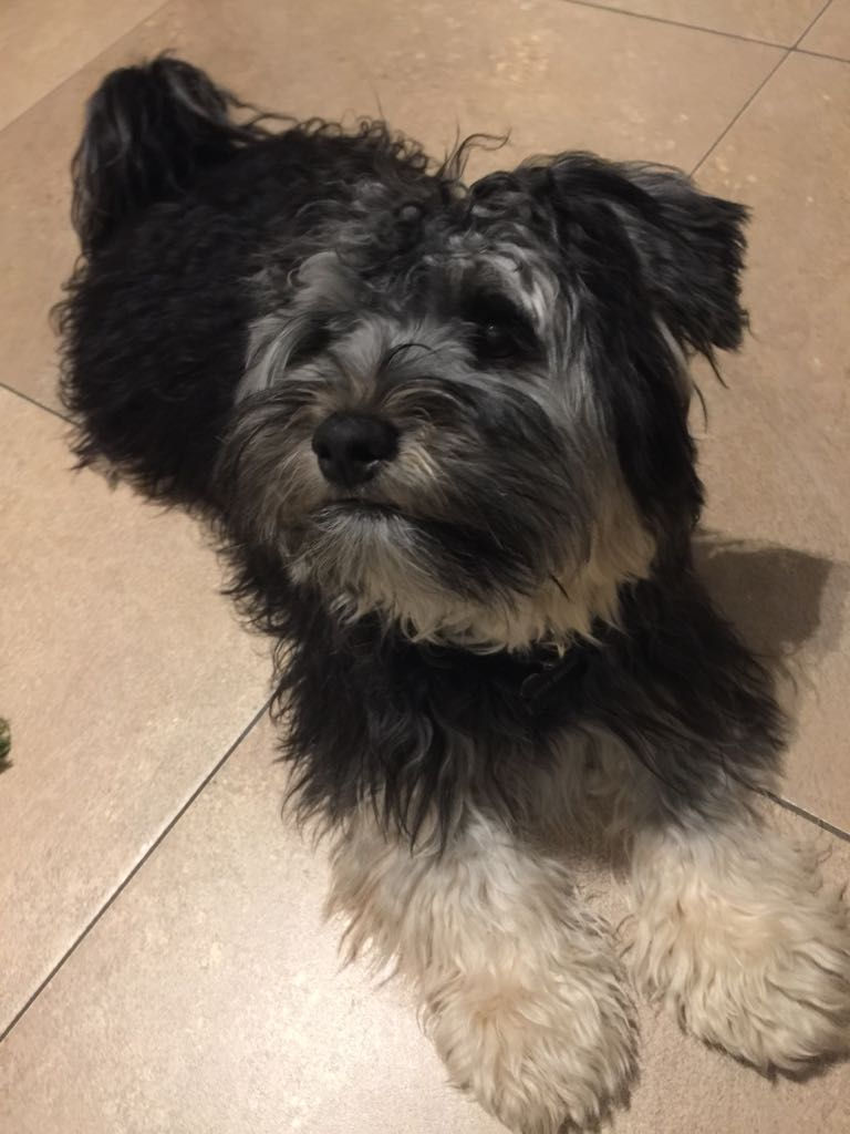 IMG-20180118-WA0005[1]