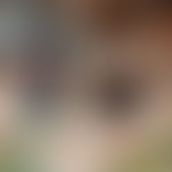 Café Especial Coado Filtrado Aeropress