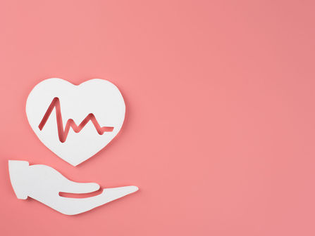 The Connection Between Menopause and Cardiovascular Health