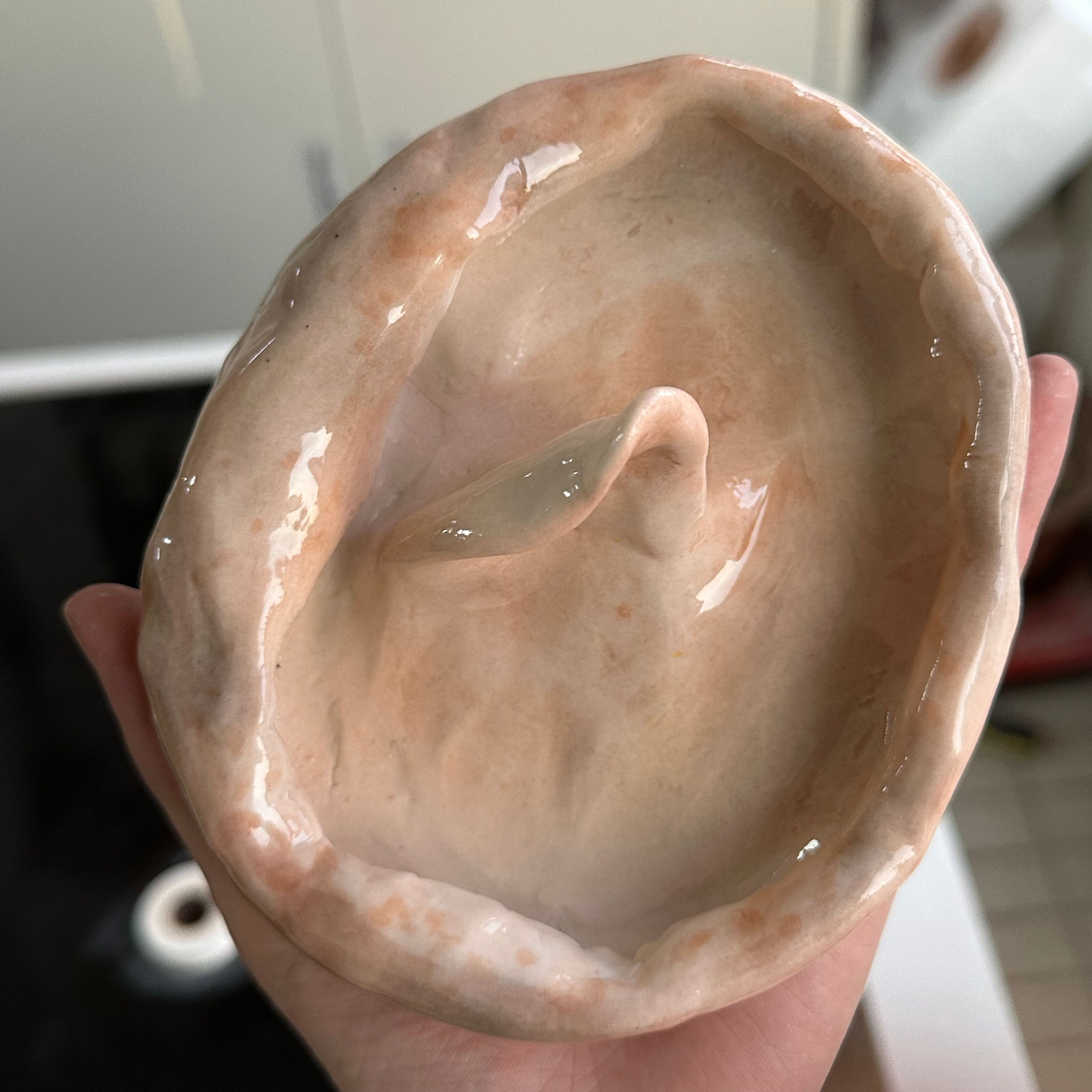 One-of-a-kind! Curled abalone plate