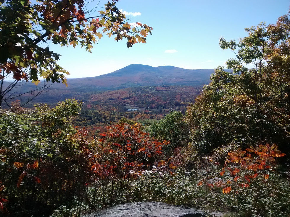 Kearsarge From Bog Mtn