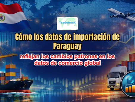 Cómo los datos de importación de Paraguay reflejan los cambios patrones en los datos de comercio global