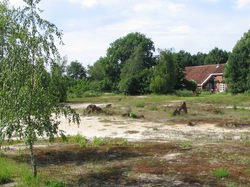 Overzicht Buiten.JPG
