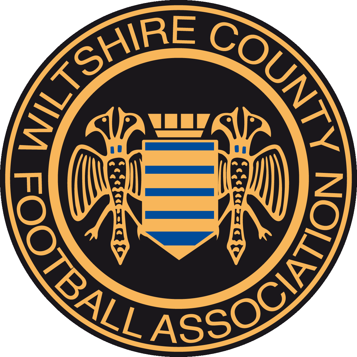Wiltshire County FA