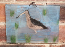 godwit.jpg
