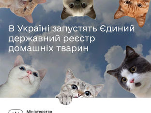 Єдиний державний реєстр домашніх тварин