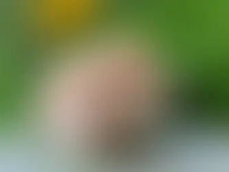 10 причин, чому вам (можливо) НЕ варто заводити кролика