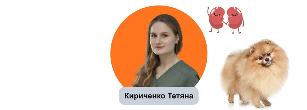 Онлайн консультація ветеринара нефролога