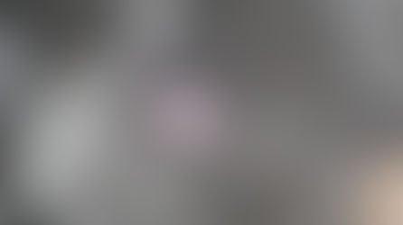 Лишай у котів і собак. Консультація дерматолога