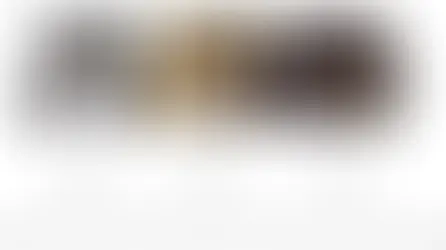 Як зрозуміти, що у кота щось болить?