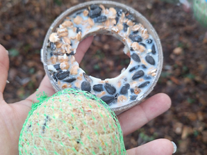 Чим годувати диких птахів у зимку?