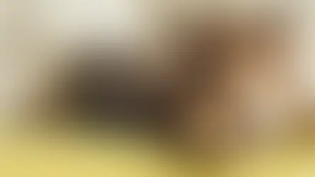 Друга свобода тварин - Свобода від дискомфорту