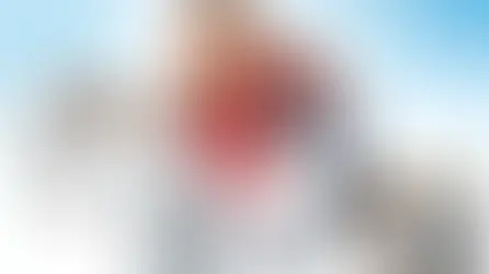 Підбірка фільмів з котами і собаками