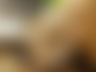 Пухлина у кота чи собаки