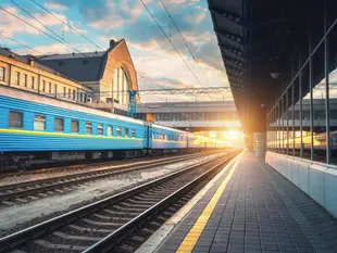 Правила перевезення собак і котів залізницею