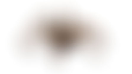 Чи хворіють павуки?