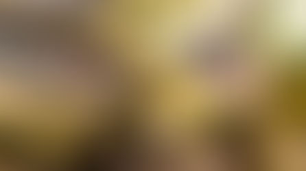 Утримання змії. Правила та умови