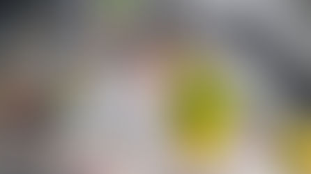 Опіки у птахів