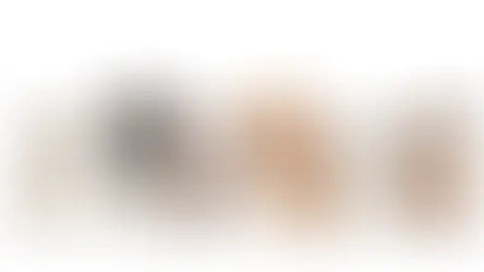 чому-маленькі-собаки-не-менш-складні-у-вихованні-ніж-великі