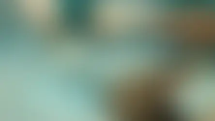 Кастрація собак та котів.