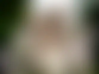 Чому коти люблять котячу м'яту?