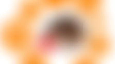 Хто і як визначає смак їжі собак та котів?