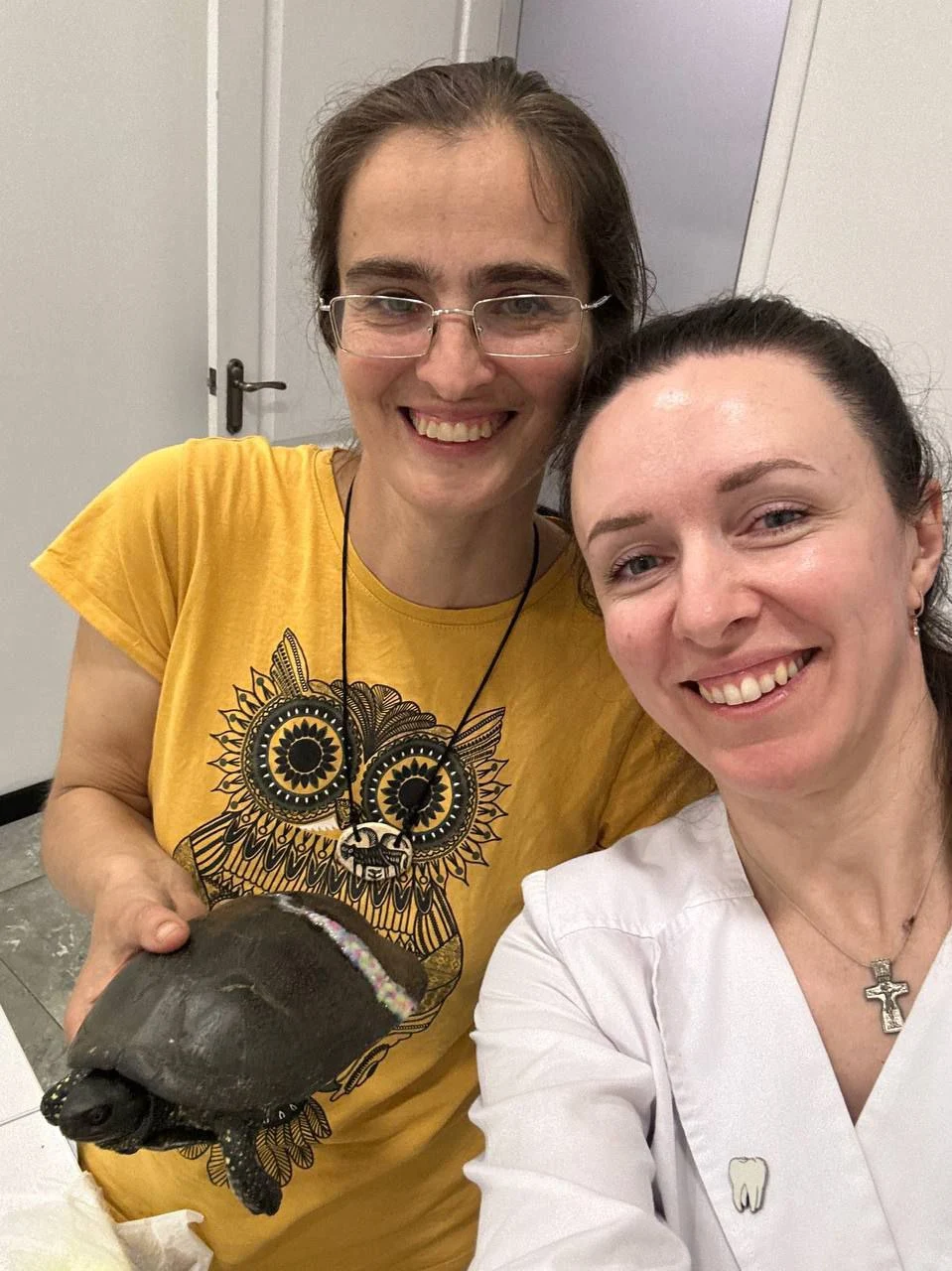 Рятуванння черепахи