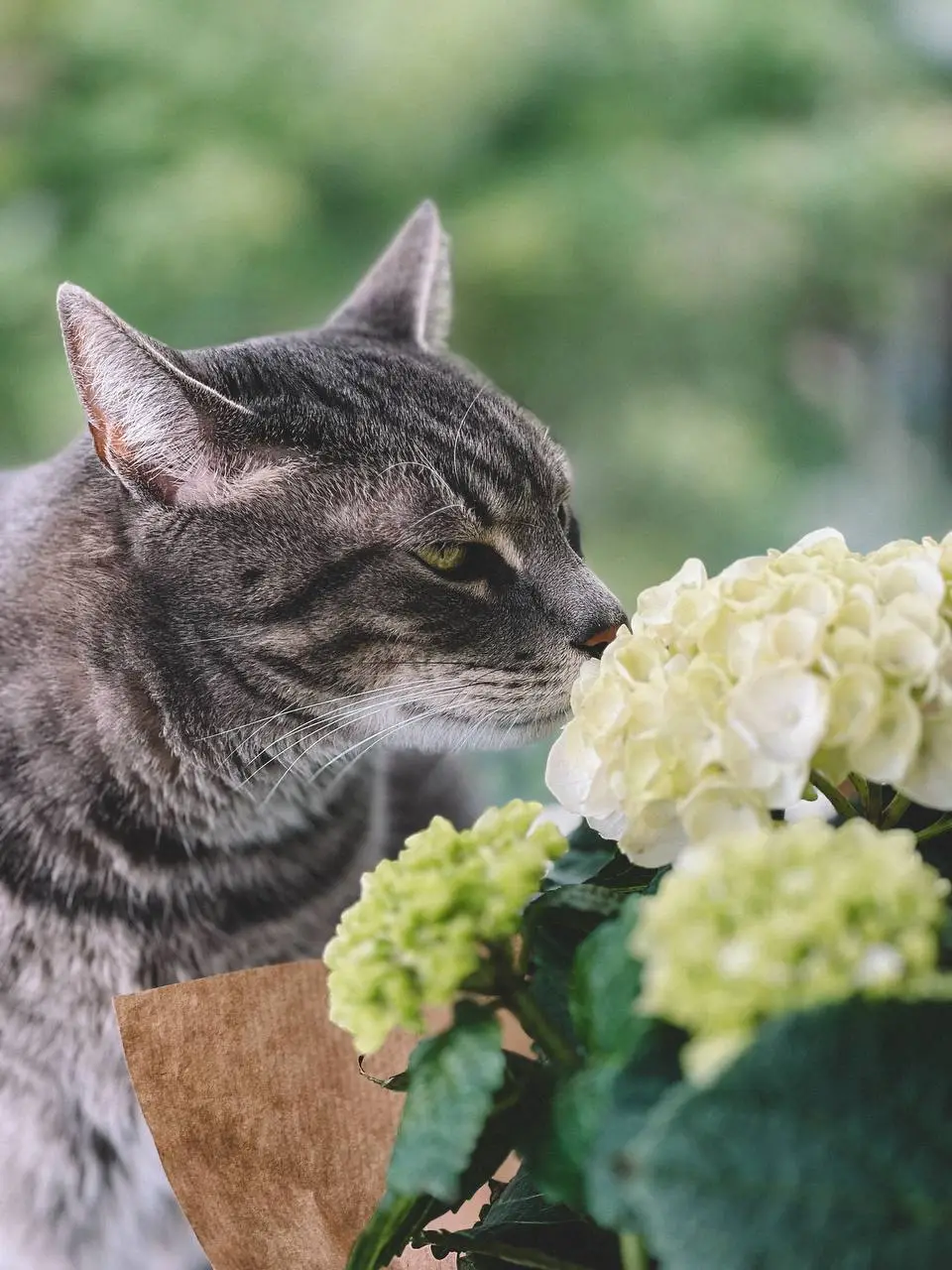 Кейс онлайн консультації ендокринолога