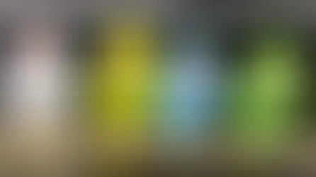 Скільки живуть папуги? Як перерахувати вік птаха на людський?