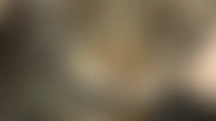 Гній з очей у кота. Що робити?