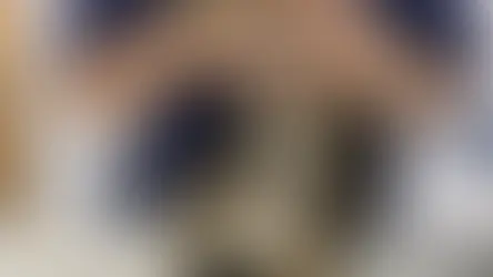 Інфекційний перитоніт котів (FIP): симптоми, причини та лікування