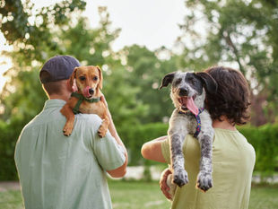 складові здорового і довгого життя улюбленців