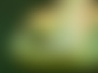 Факти про хамелеонів